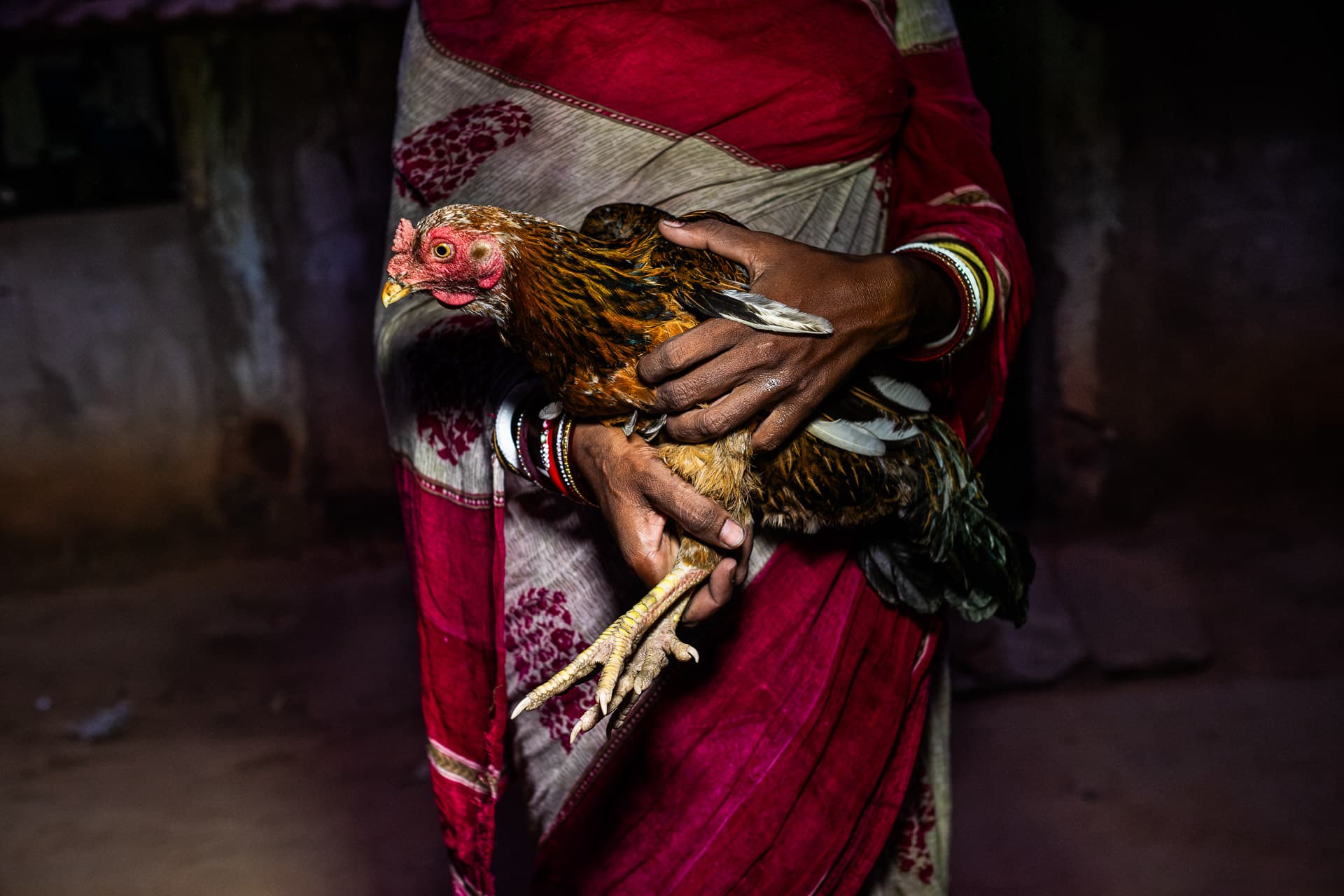 NGO photogrpaher in India - poultry vaccine
