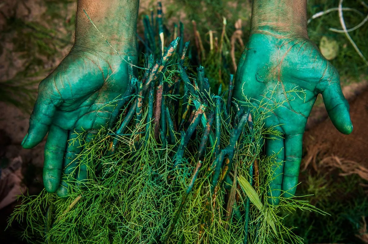 Finding creative perspectives in travel photography, Travel photography in India