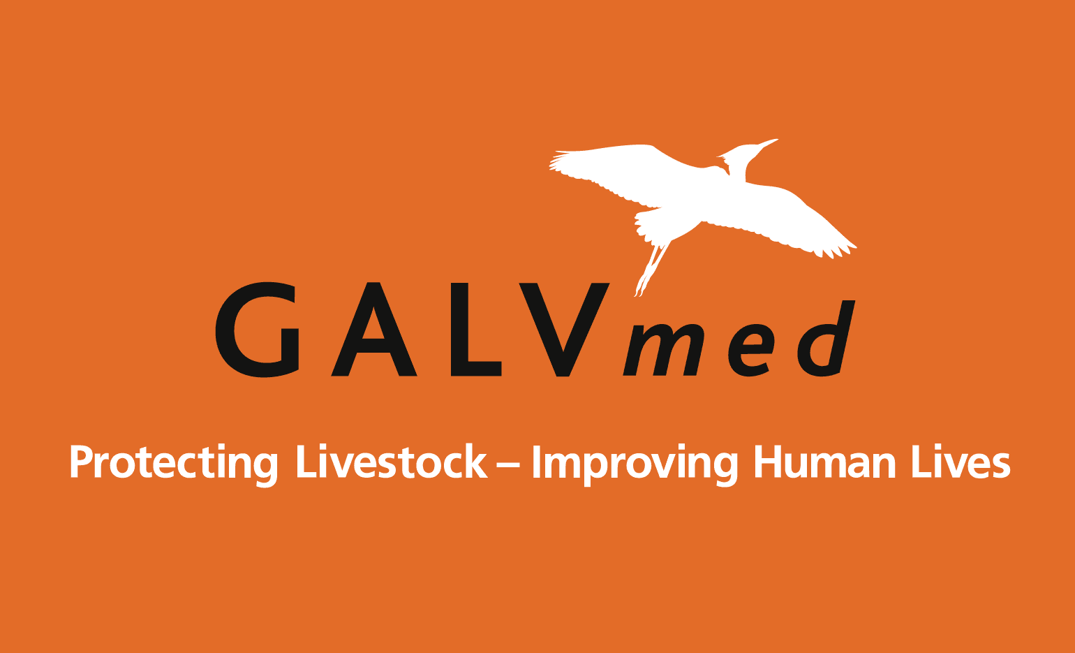 GALVmed